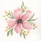 Hibiscus 1 Art Print
