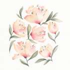 Peonies 1 Art Print
