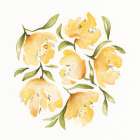 Yellow Peonies 2 Art Print