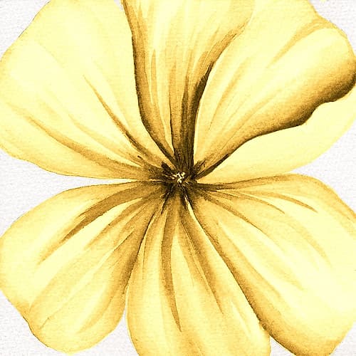 Watercolor Closeup 2 Art Print