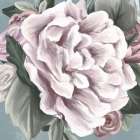 Small Bouquet 2 Art Print