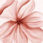 Watercolor Closeup Art Print