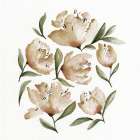 Neutral Peonies 1 Art Print