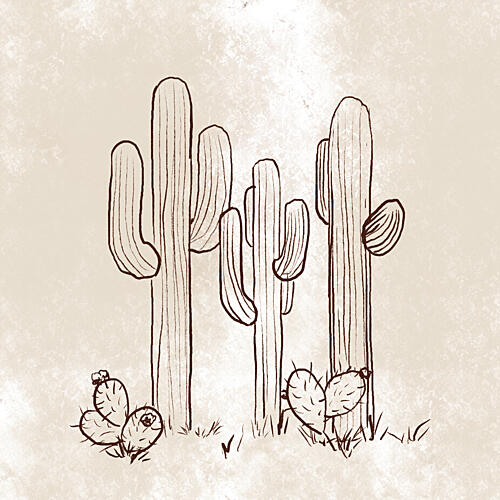 Three Cactus Nature Print