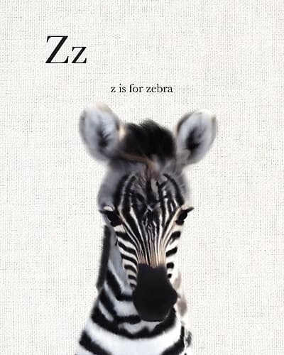 Baby Zebra Linen Art Print