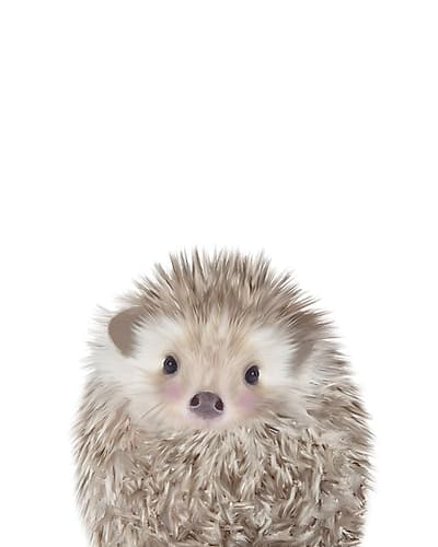 Hedgehog Art Print