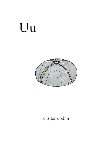 U is For Urchin Kids Print