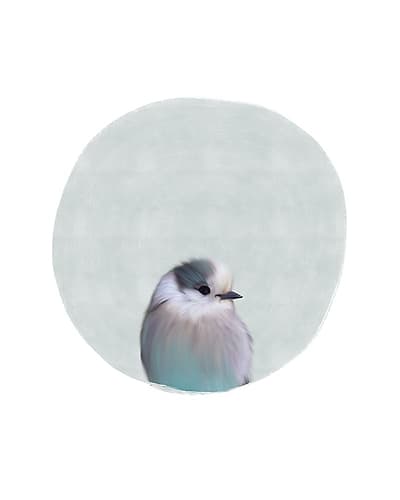 Baby Circle Bird Art Print