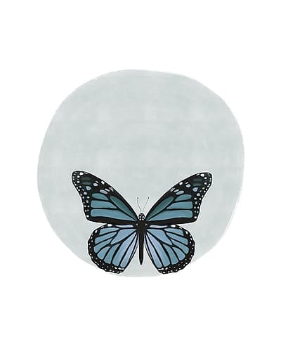 Butterfly Circle Animaux reproduction