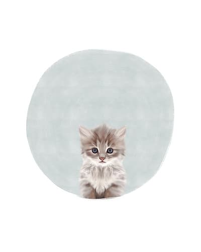 Baby Circle Kitten Art Print