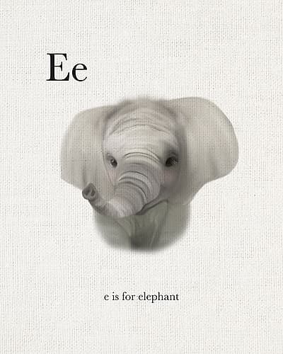 E is for Elephant Chambre de bébé reproduction