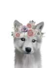 Floral Wolf Art Print