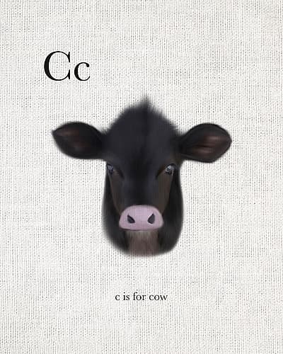 C is for Cow Art Print