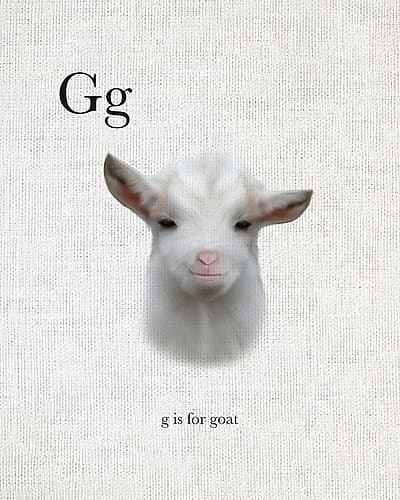 G is for Goat Art Print