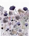 Wildflower B Art Print