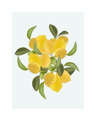 Lemons Part 2 Art Print