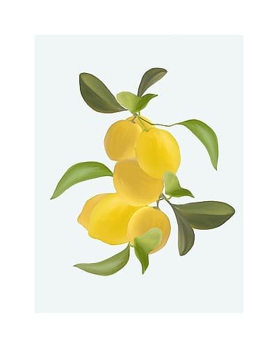 Lemons Part 3 Art Print