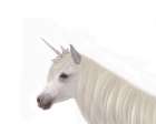 Pretty Unicorn Art Print