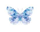 Blue Butterfly 1 Abstract Art Print