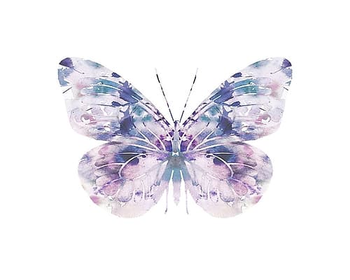 Butterfly 1 Art Print