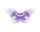 Purple Butterfly 2 Abstract Art Print