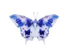 Saturated Butterfly 3 Art Print