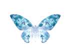 Teal Butterfly 4 Abstract Art Print