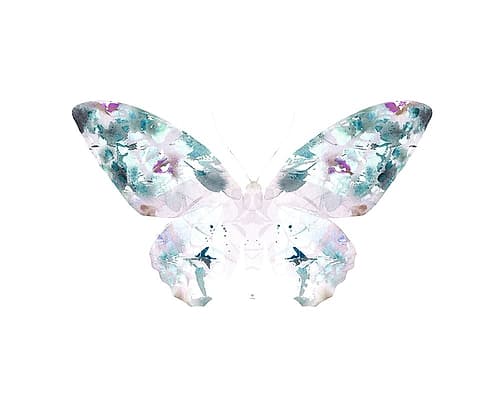 Butterfly 4 Art Print