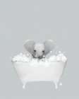 Elephant Blue Bath Art Print