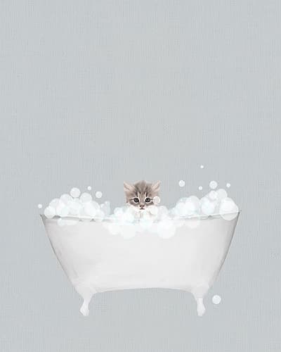 Kitten Blue Bath Art Print