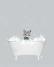 Wolf Blue Bath Art Print