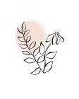 Line Drawing Florals Blush Art Print