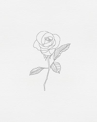 Black Rose 1 Art Print