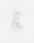 Black Rose 2 Art Print