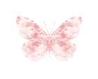 Blush Butterfly Art Print
