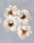 Artsy Florals Art Print
