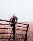 Rusty Fence Art Print