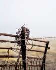 Rusty Fence Art Print