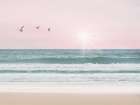 Pinky Beach With Birds Art Print
