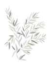 Neutral Leaves Botanical Print