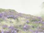 Lavendener Hill Art Print