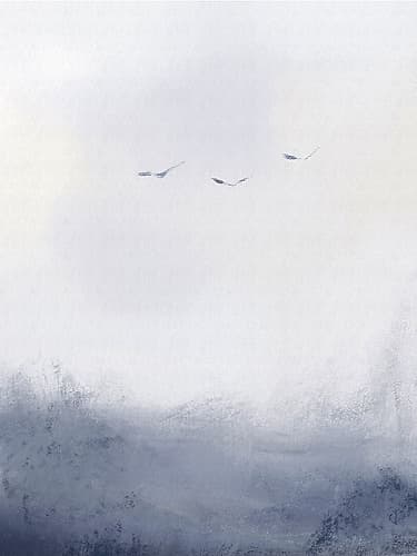 Birds Ocean Storm 2 Art Print