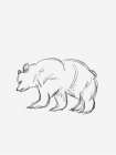 Cabin Minimal Bear Sketch Art Print