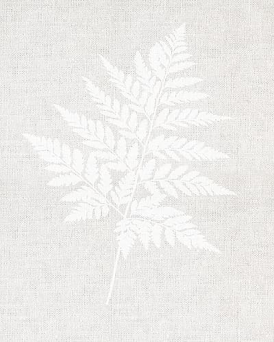 Fern Wall Art Nature Print