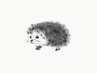 Hedgehog Art Print