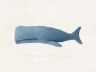 Everything Whale Be All Right Art Print