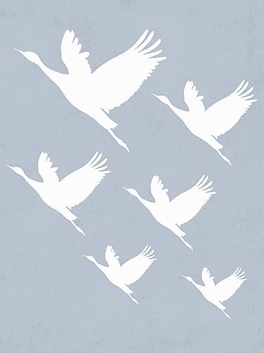 Take Flight Animaux reproduction