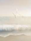 The Gulls Art Print