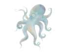 Octopus Art Print