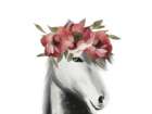 Floral Dapple Grey Horse Art Print